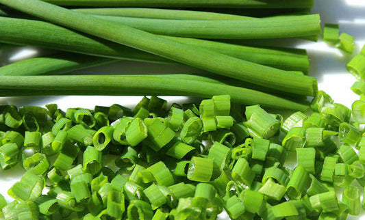 Garden Chives